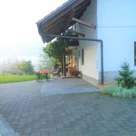 Apartma Biofit Блед Номер фото