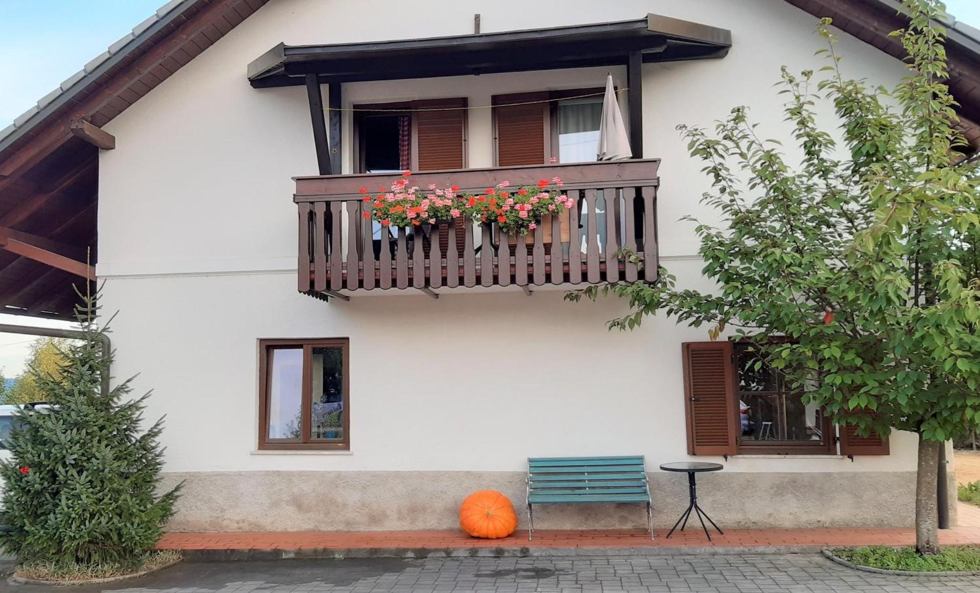 Apartma Biofit Блед Номер фото