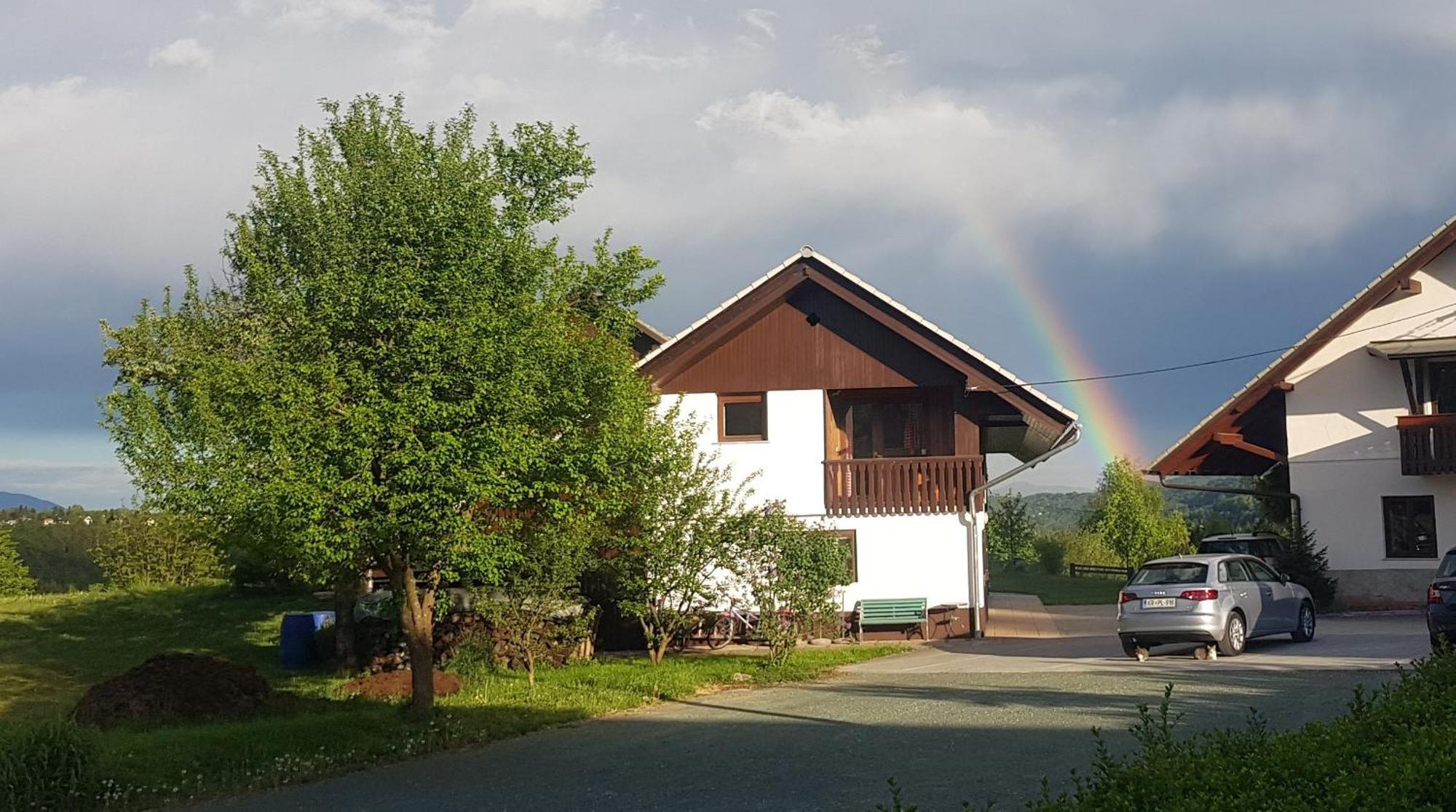 Apartma Biofit Блед Номер фото